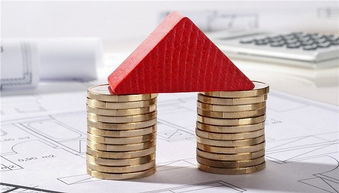 房產(chǎn)經(jīng)紀(jì)人服務(wù)欠透明，十位借款人陷入財務(wù)困境